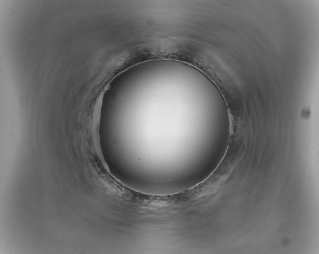 X0000095111153200712071210