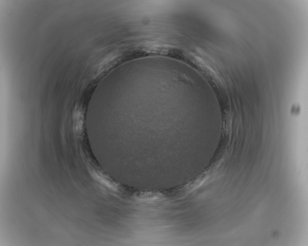 X0000095111154200712071210