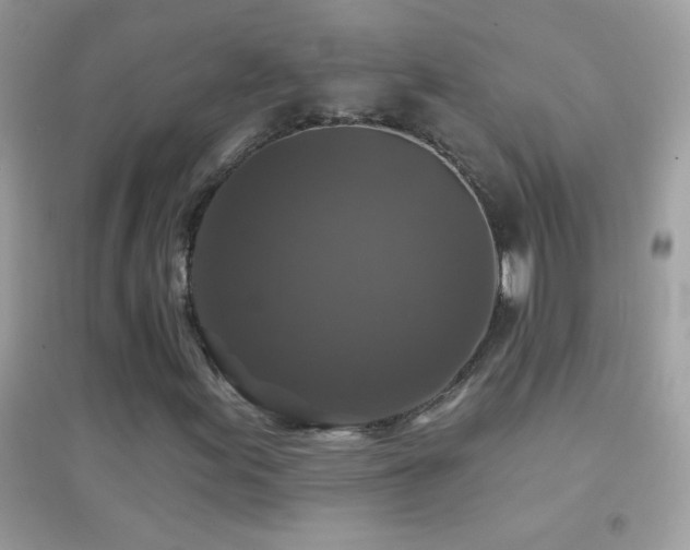 X0000095111155200712071210