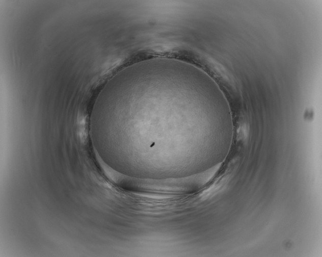 X0000095111156200712071210