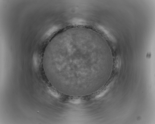 X0000095111157200712071210