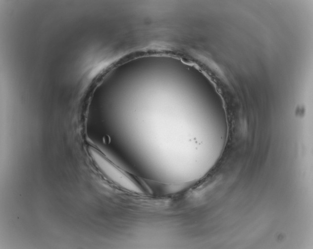 X0000095111160200712071210
