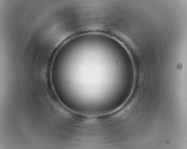 X0000095111162200712071210
