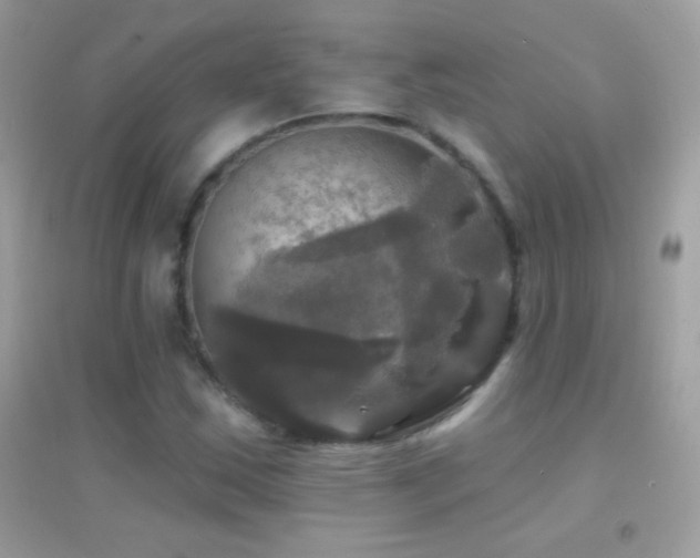 X0000095111163200712071210