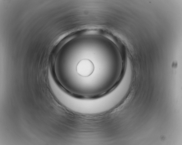 X0000095111169200712071210