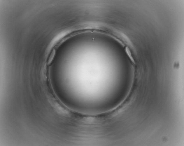 X0000095111172200712071210