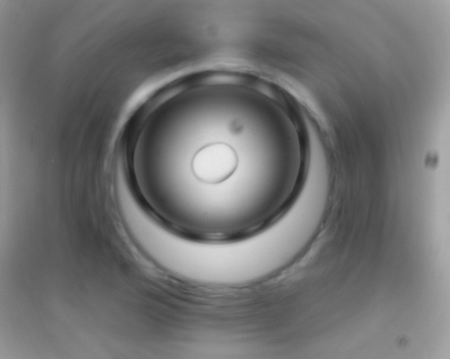 X0000095111176200712071210