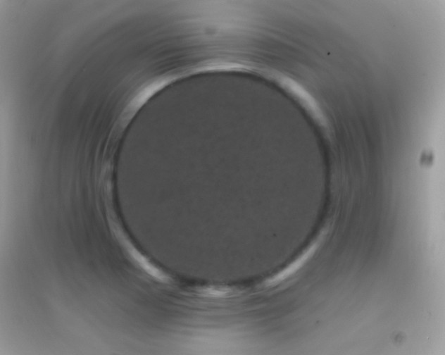 X0000095111177200712071210