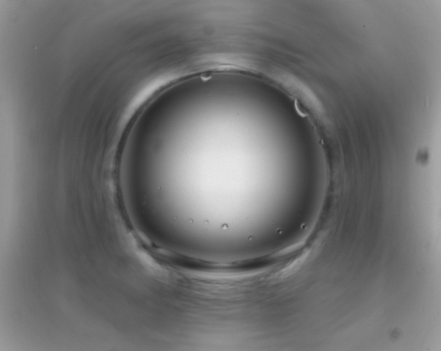 X0000095111182200712071210