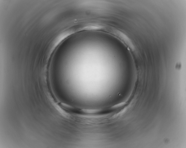 X0000095111186200712071210