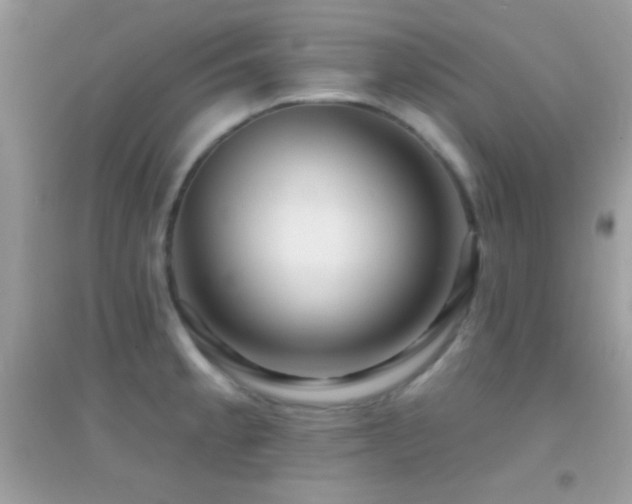 X0000095111189200712071210