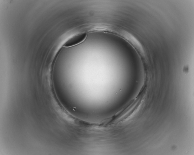 X0000095111190200712071210