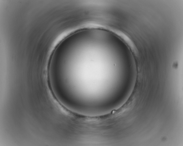 X0000095111191200712071210