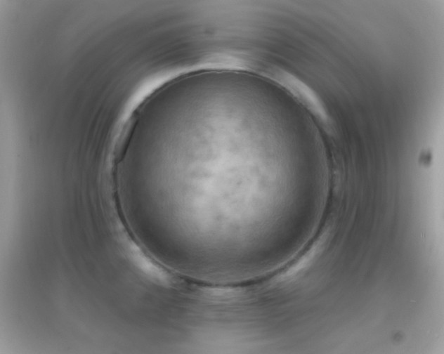 X0000095111192200712071210