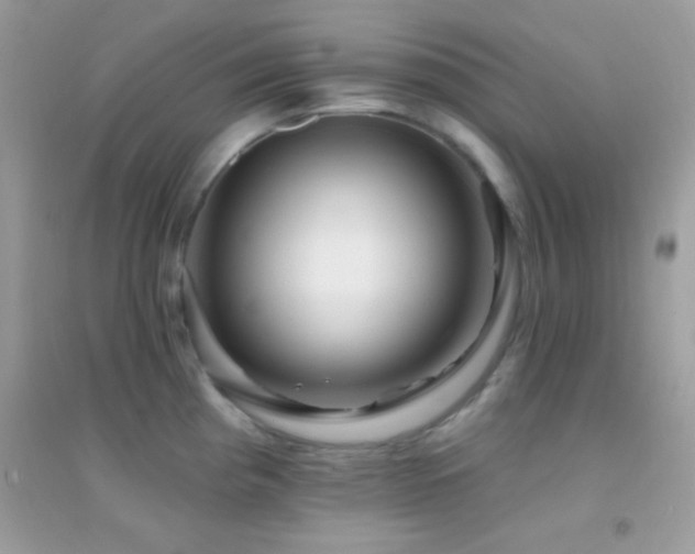 X0000095111193200712071210