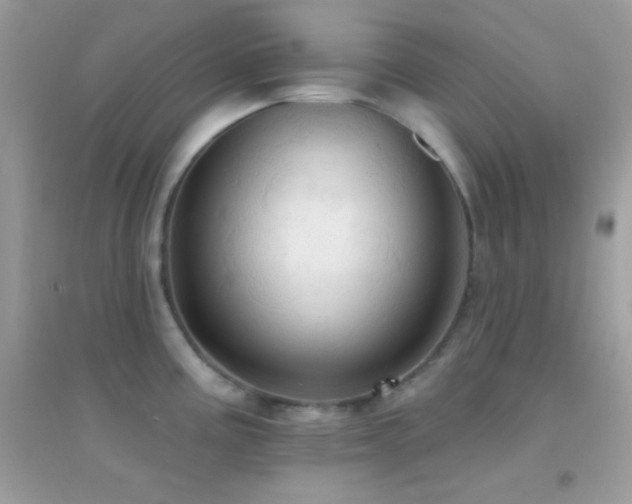 X0000095111195200712071210