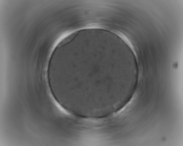 X0000095111197200712071210