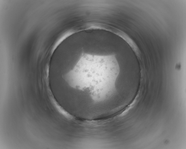 X0000095111198200712071210