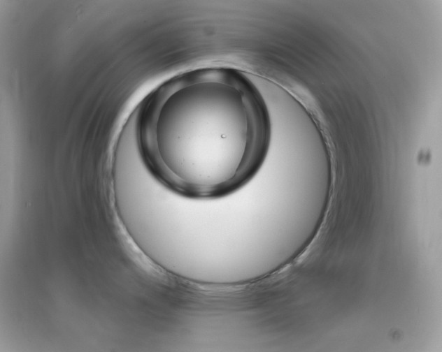 X0000095111200200712071210