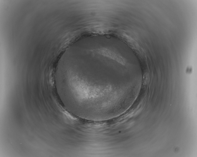 X0000095111202200712071209