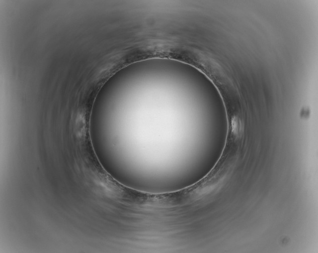 X0000095111203200712071209