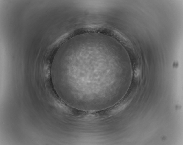 X0000095111204200712071209