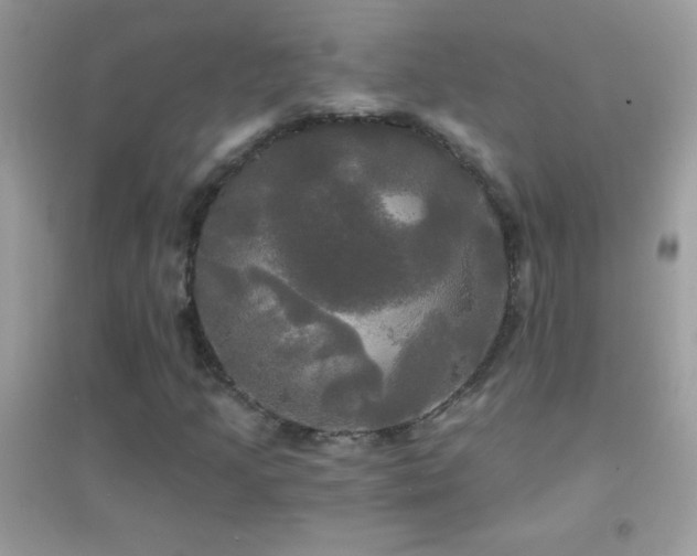 X0000095111205200712071209