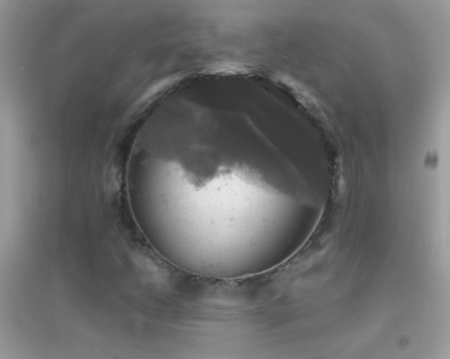 X0000095111206200712071209