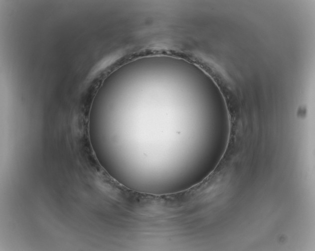 X0000095111207200712071209