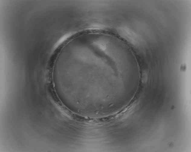 X0000095111208200712071209
