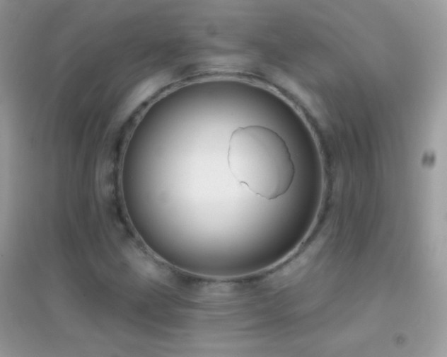 X0000095111211200712071209