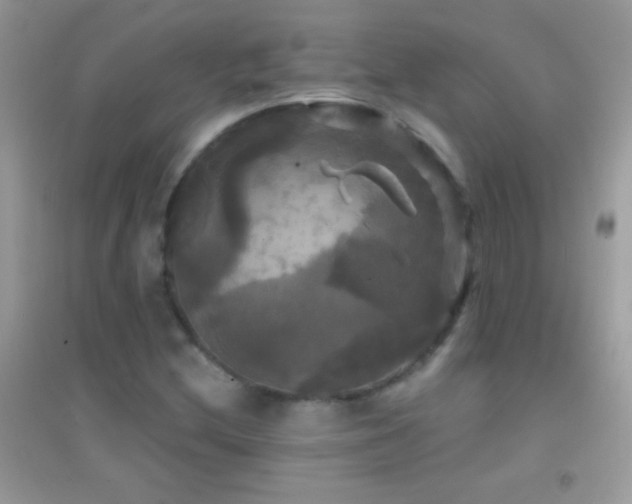 X0000095111212200712071209