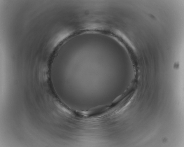 X0000095111213200712071209