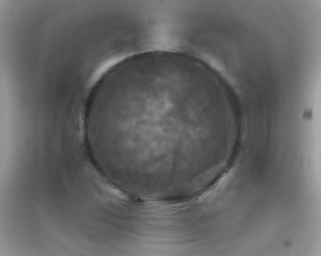 X0000095111214200712071209