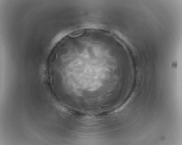 X0000095111215200712071209