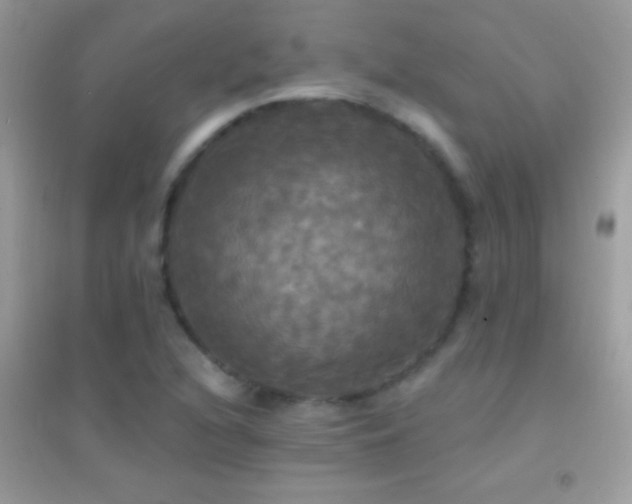 X0000095111216200712071209