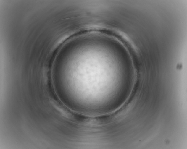 X0000095111217200712071209