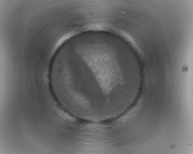 X0000095111218200712071209