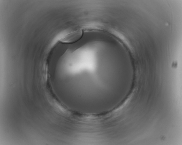 X0000095111219200712071209