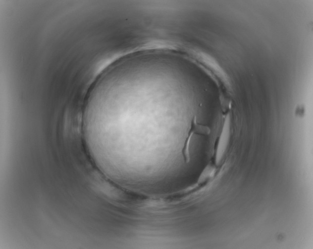 X0000095111220200712071209