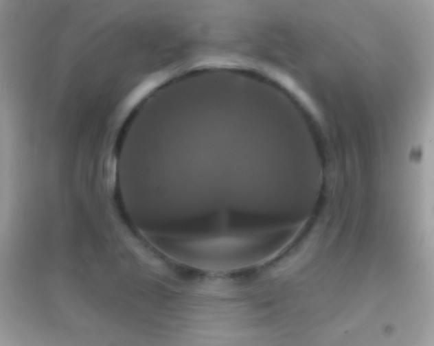 X0000095111221200712071209