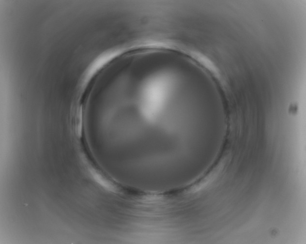 X0000095111223200712071209