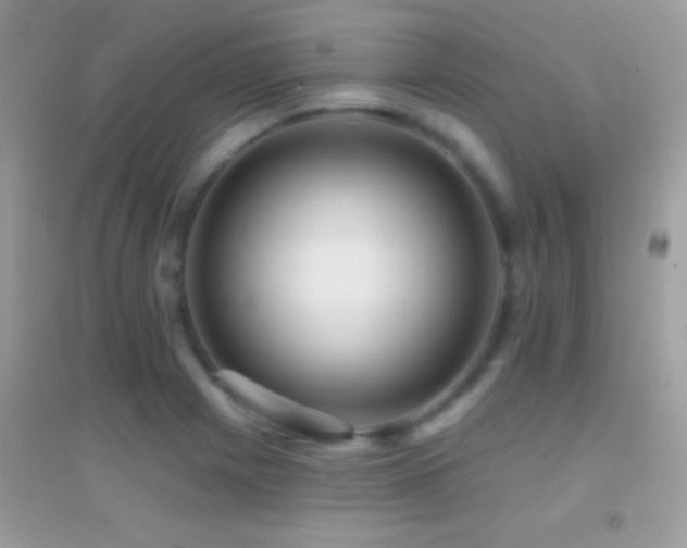 X0000095111225200712071209