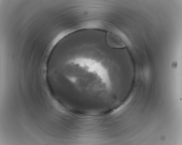 X0000095111226200712071209