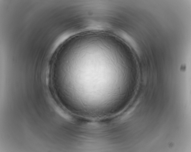 X0000095111227200712071209