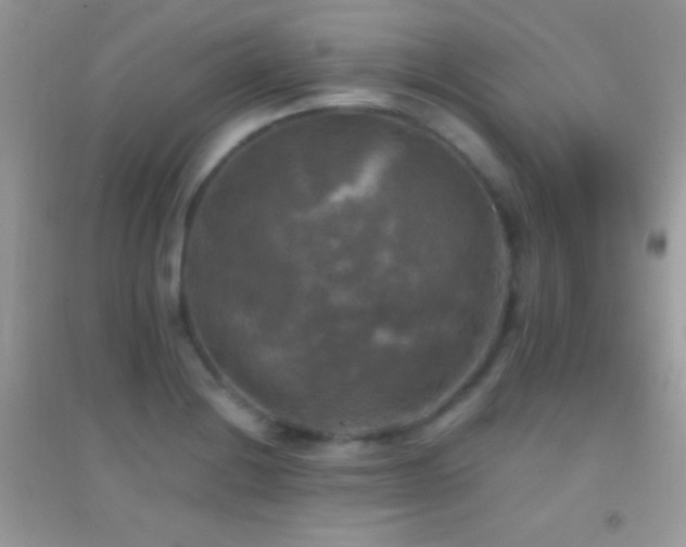 X0000095111228200712071209