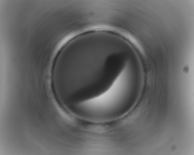 X0000095111229200712071209