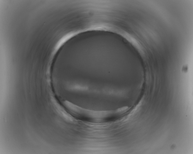 X0000095111230200712071209