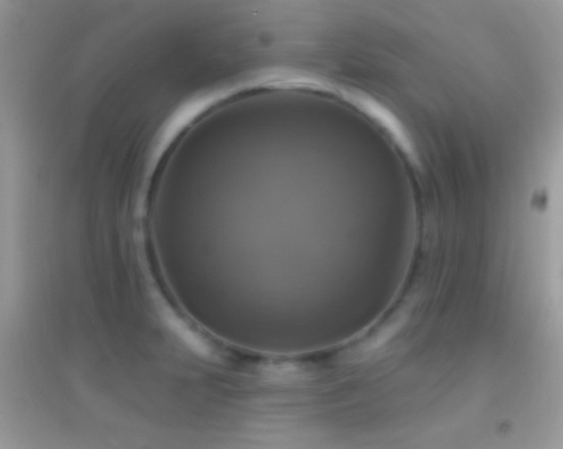 X0000095111231200712071209