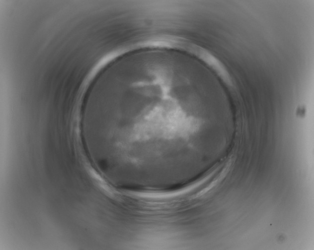 X0000095111232200712071209
